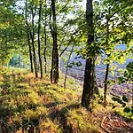 Potegowka Wege Kaszuby - Peaceful By The Guest house 3*