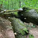 Potegowka Wege Kaszuby - Peaceful By The Guest house