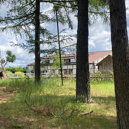 Pensjonat Potęgówka Wege Kaszuby Linia