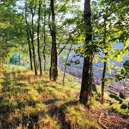 Potęgówka Wege Kaszuby Pensjonat 3*