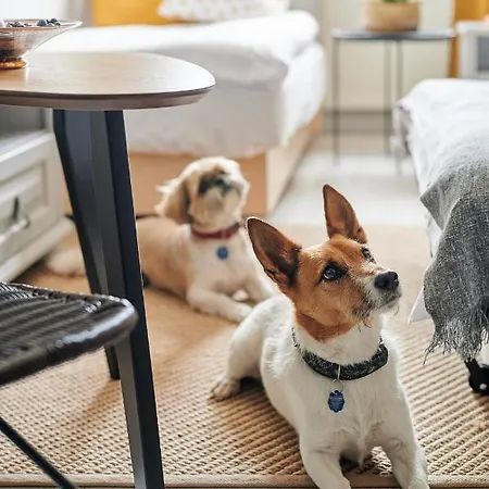 Potęgówka Wege Kaszuby 3* Linia