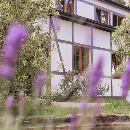 Potegowka Wege Kaszuby - Vegan In Nature Linia