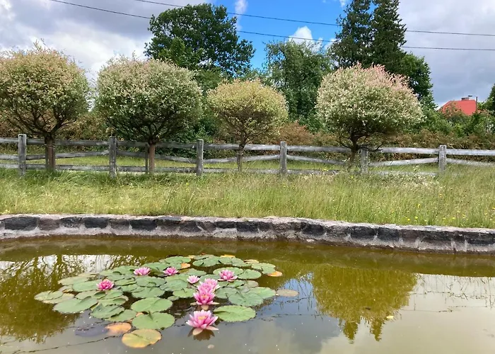 Potegowka Wege Kaszuby