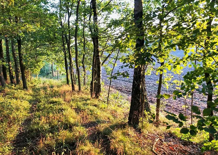 Potęgówka Wege Kaszuby Pensjonat 3*