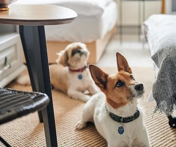 Potegowka Wege Kaszuby 3* Linia