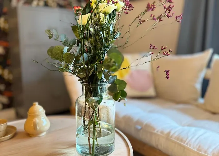 Potegowka Wege Kaszuby